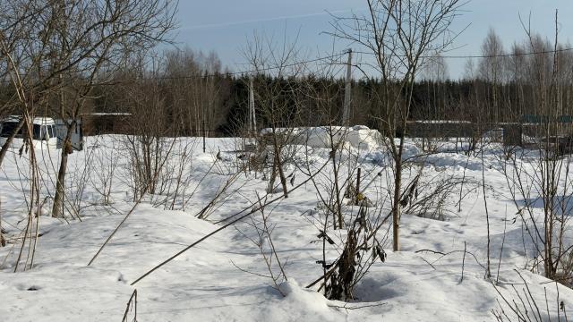 Лот 4019551